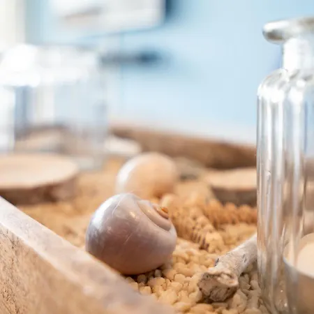 App 746 - Strandlage *